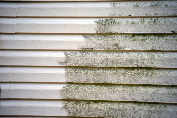 Professional Siding Services in Sandston, VA